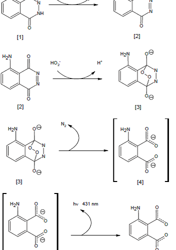 Figura 2. Mecanismo da oxidação do Luminol pelo Peróxido de Hidrogênio catalisado por metal de transição (Mn+)