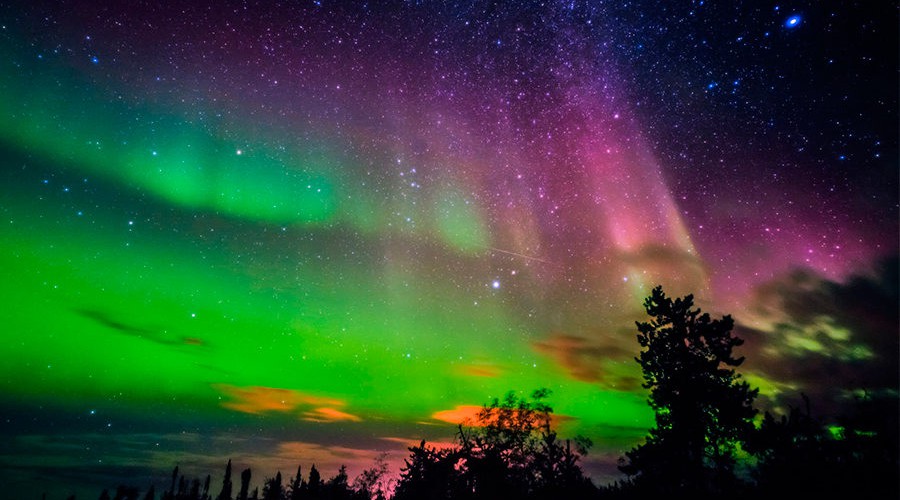 girassol_aurora_boreal-900x530