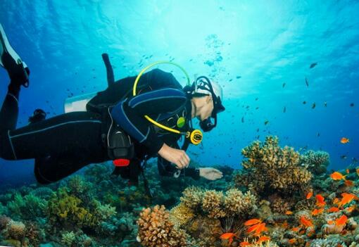 WhatsApp Image 2019-11-14 at 14.26.18