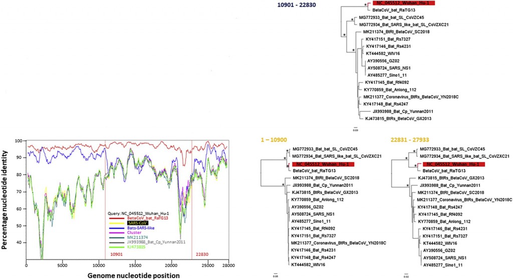 Fonte: PARASKEVIS, D. et al.