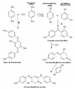 Fonte: Artigo - A química e toxicidade dos corantes de cabelo