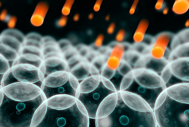 11b1293e-cd9e-4d7d-90bc-cb473f7711c3