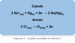 equação 123wq