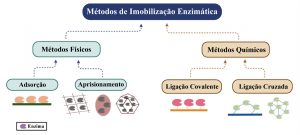 Fonte: Adaptado de NUNES et al. (2021)