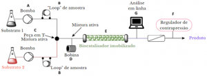 Fonte: Adaptado de TAMBORINI et al. (2018)